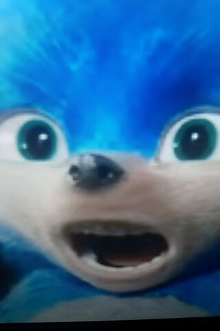 Sonic's Speedy Surprise! 🦔💨