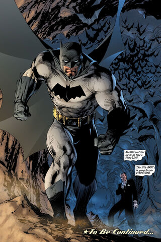 The Dark Knight's Next Chapter 🦇✨