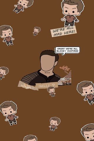 Gally Maze Runner Wall
