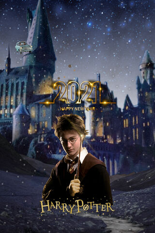 Harry Potter 2021