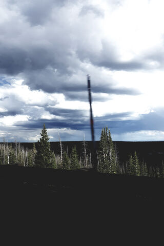 Wolverine's Wild Domain 🌲🌌