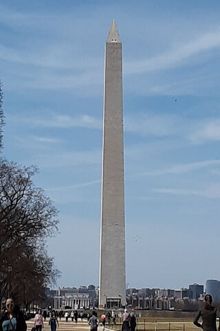 A Towering Tribute: The Washington Monument 🏛️✨