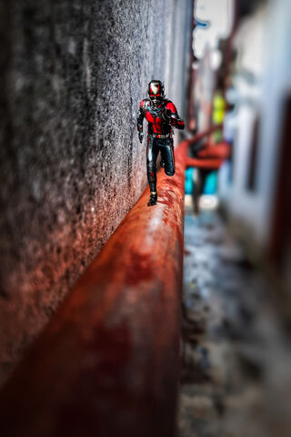 Ant-Man's Urban Adventure 🐜🏙️
