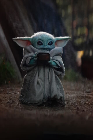 Baby Yoda