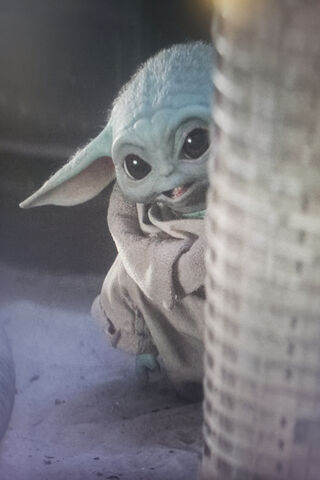 The Adorable Mystery of..