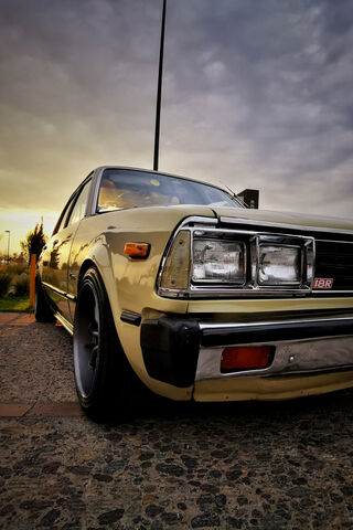 Golden Dreams Under a Starry Sky 🌌✨