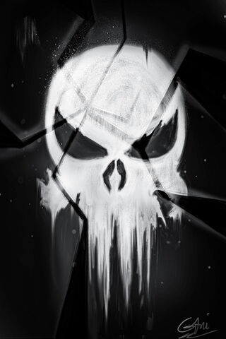 Shattered Justice: The Punisher's Emblem