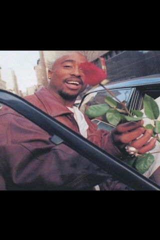 2Pac: The Poet with a Rose 🌹