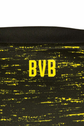 BVB: The Heart of Borussia Dortmund 💛🖤