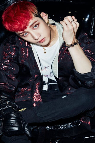 Vibrant Vibes: The Essence of Chan