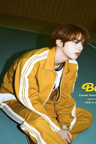 Jin: The Golden Star Shining Bright