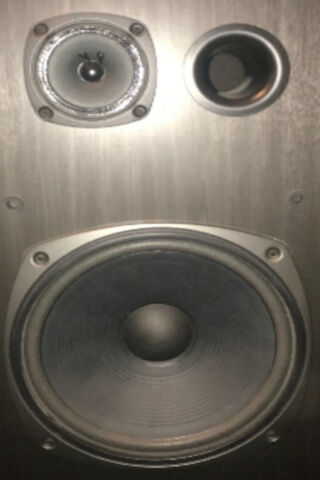 Kenwood Speaker