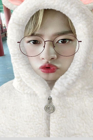 LeeKnow's Cozy Vibes 🐻✨