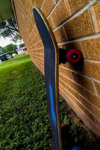 Chillin' with My Skateboard 🛹✨