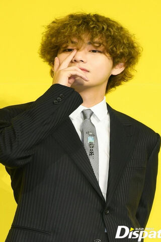 Charming Elegance: Taehyung V in Style