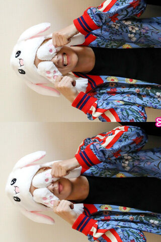 Bunny V: The Playful Charmer 🐰✨