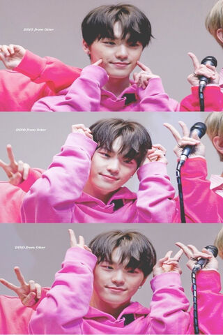 Dino's Adorable Moments 🌟