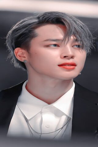 Jimin: The Charismatic ..