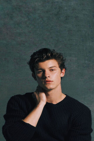 Captivating Charisma: The Essence of Shawn Mendes
