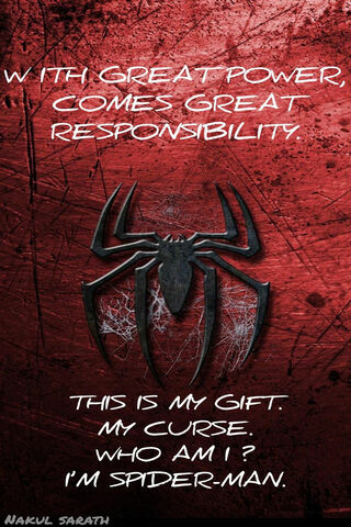 The Burden of Power: A Spider-Man Reflection