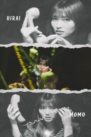 Momo's Mysterious Call 📞✨