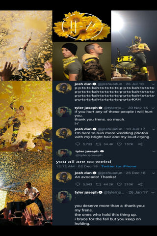 The Energetic Vibes of Twenty One Pilots 🎤🌼