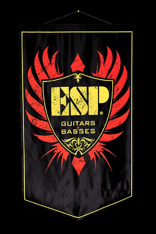 Rock Your Sound with ESP! 🎸🔥