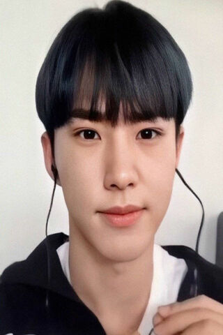 Hoshi Moshi: A Glimpse of Charm 🌟