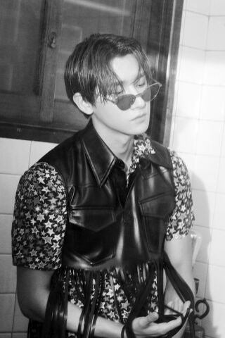 Chic Shadows: A Modern Aesthetic