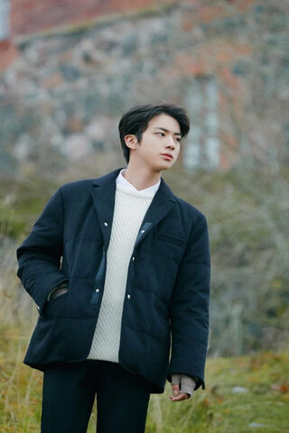 Jin: The Serene Wanderer 🌿✨