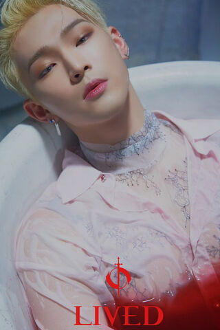 Leedo: The Art of Transformation 🎨✨