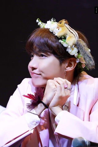 J-Hope's Whimsical Charm 🌸🐿️