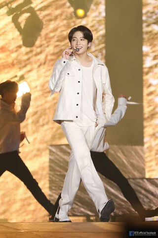 Jungkook's Dazzling Sta..