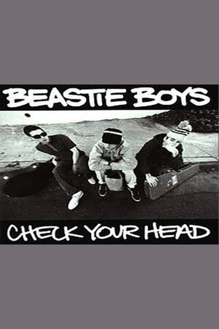 Check Your Head: The Beastie Boys Vibe 🎤✌️