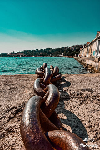 Anchored in Time: The Chain of Connection ⛓️🌊