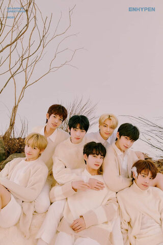 Harmony in Unity: The Enhyphen Experience 🌟