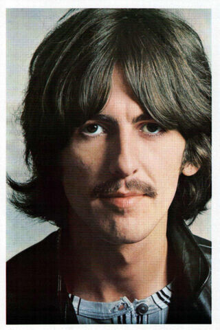 The Quiet Beatle: A Glimpse into George Harrison's World