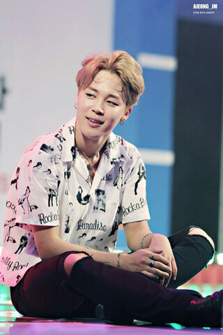 Jimin: The Charismatic ..