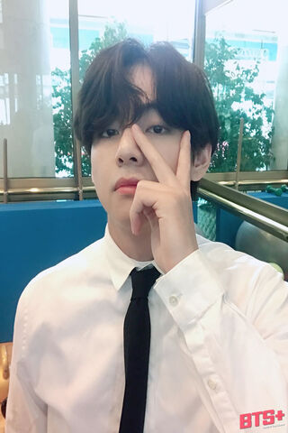 Charming V: The Heart of BTS 💖