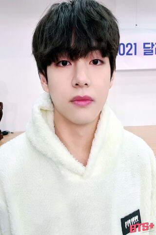 Charming V: The Heart of BTS 💖