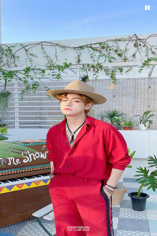 V's Vibrant Vibes 🌟