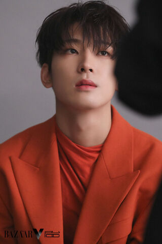 Wonwoo: The Charismatic Muse