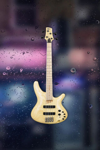 Groove in the Rain: The Bass Guitar