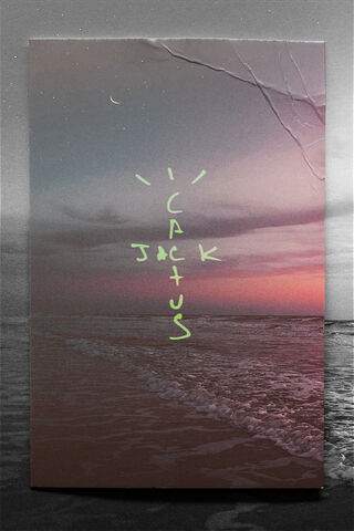 Cactus Jack's Dreamy Horizon 🌅