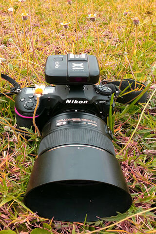Capturing Moments: The Nikon D850 in Action 📸✨