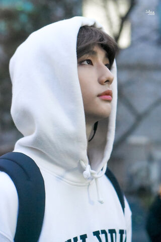 Hyunjin: The Dreamy Aesthetic 🌟