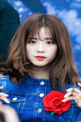 Jisoo: The Rose of K-Po..