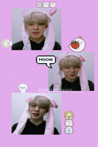 Mochi Vibes with Jimin 🐰✨