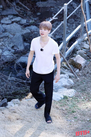 Jimin's Serene Stroll 🌿✨