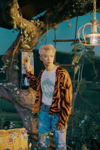 Minho's Enchanted Evening 🌙✨